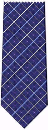 Picture of 100% SILK WOVEN - BLUE PLAID