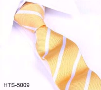 Picture of SILK WOVEN MULTI-COLOR WHITE STRIPE TIE - 5 TO CHOOSE FROM